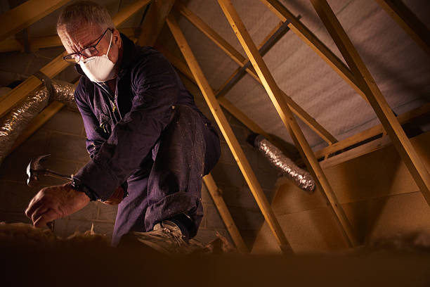 Best Commercial Insulation in Ogden Dunes, IN